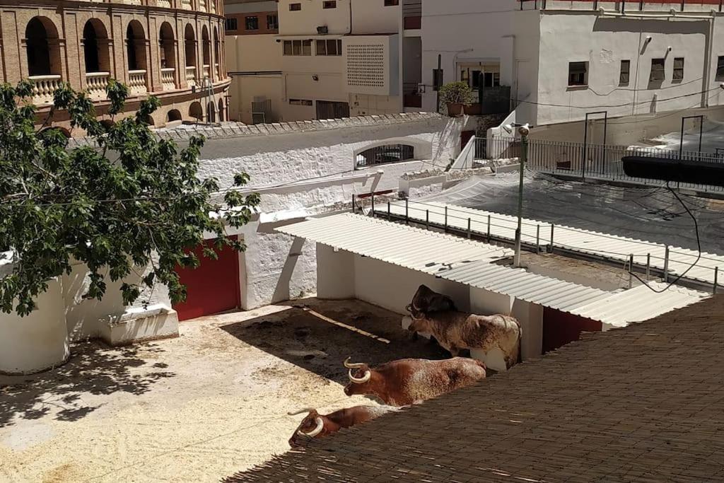 Bonito Y Amplio Piso Junto A La Plaza De Toros. Apartamento *